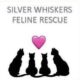 Silver Whiskers Feline Rescue